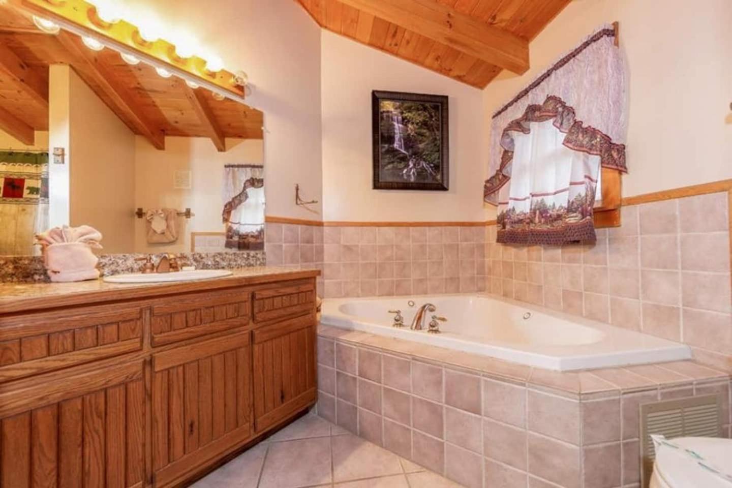 Pigeonforge Cabin Game Roomdog Friendlyhot Tub Pigeon Forge Dış mekan fotoğraf